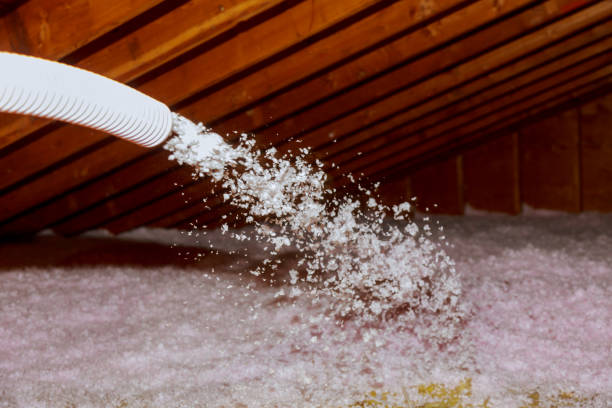 Best DIY Insulation Kits and Guidance in Branchville, SC