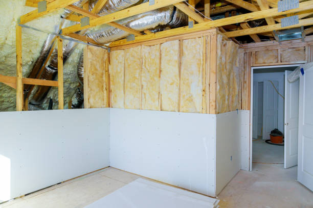 Best Specialized Insulation Services in Branchville, SC