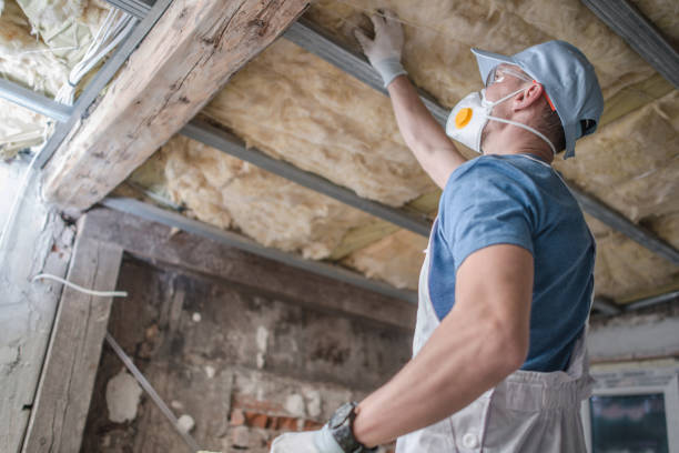 Best Residential Insulation in Branchville, SC