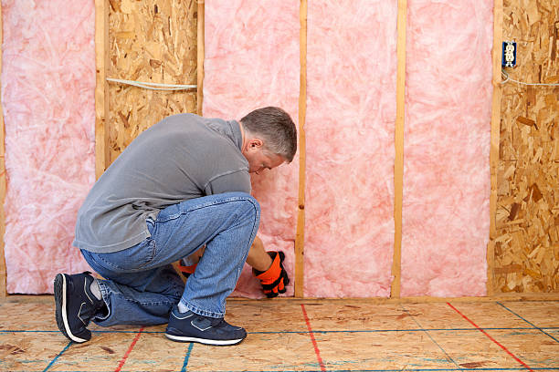 Best Cellulose Insulation in Branchville, SC