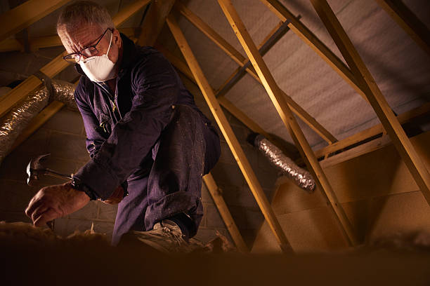Types of Insulation We Offer in Branchville, SC