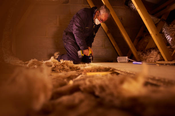 Best Fiberglass Insulation in Branchville, SC